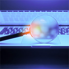  Keep ethical research top of mind: Review our Research Integrity Resources.